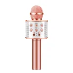 Wireless Microphone Hifi Speaker WS-858