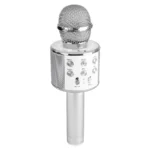Wireless Microphone Hifi Speaker WS-858