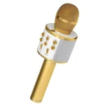 Wireless Microphone Hifi Speaker WS-858