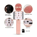 Wireless Microphone Hifi Speaker WS-858