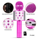 Wireless Microphone Hifi Speaker WS-858
