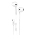 GreenLion Stereo Earphones With Type-C Connector