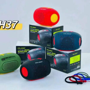 H37 koleer mini speaker